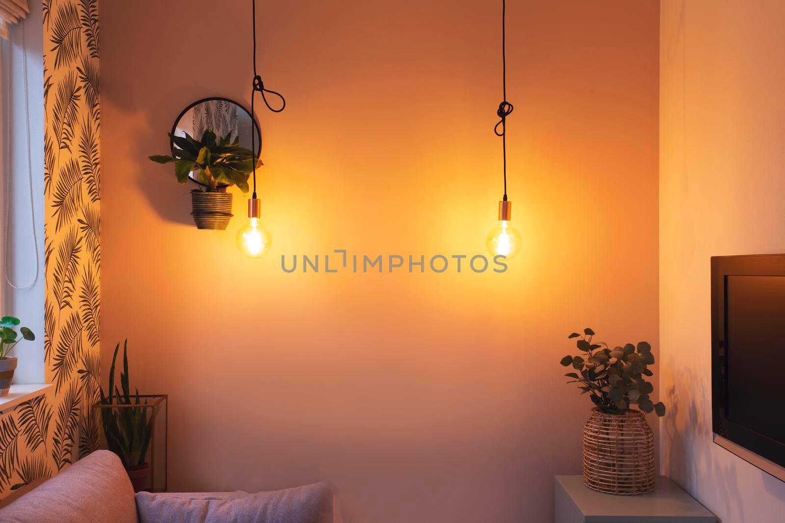 Cozy retro living room modern interior with colorful furniture, Hanging light bulb and modern style decoration closeup house plant