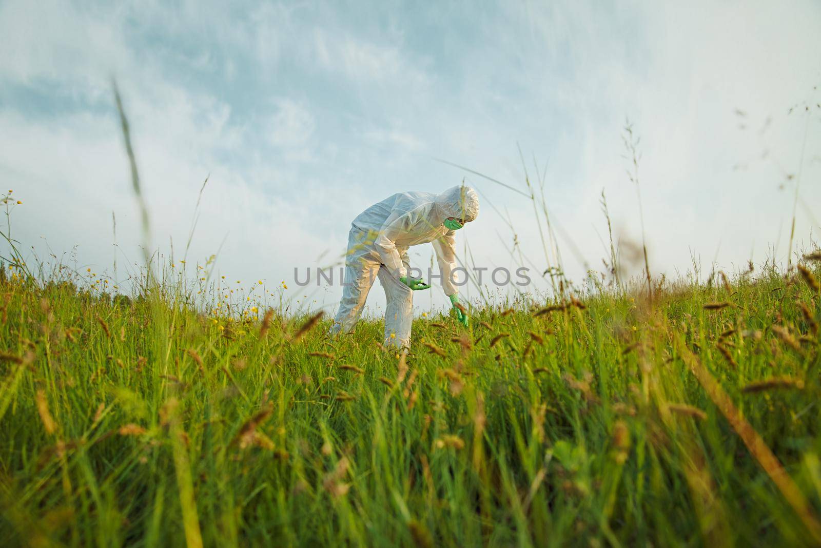 Male scientist in protective uniform analyzing green plants on summer field