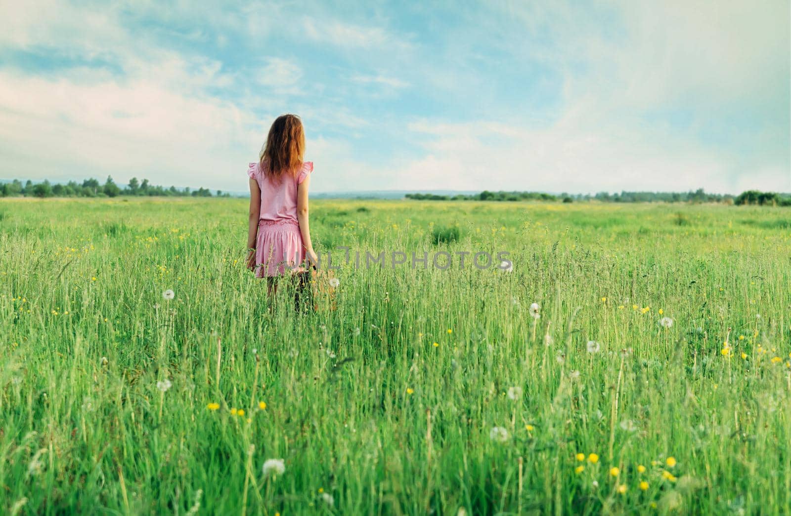 Little girl in pink dress standing with suitcase on summer green meadow, rear view