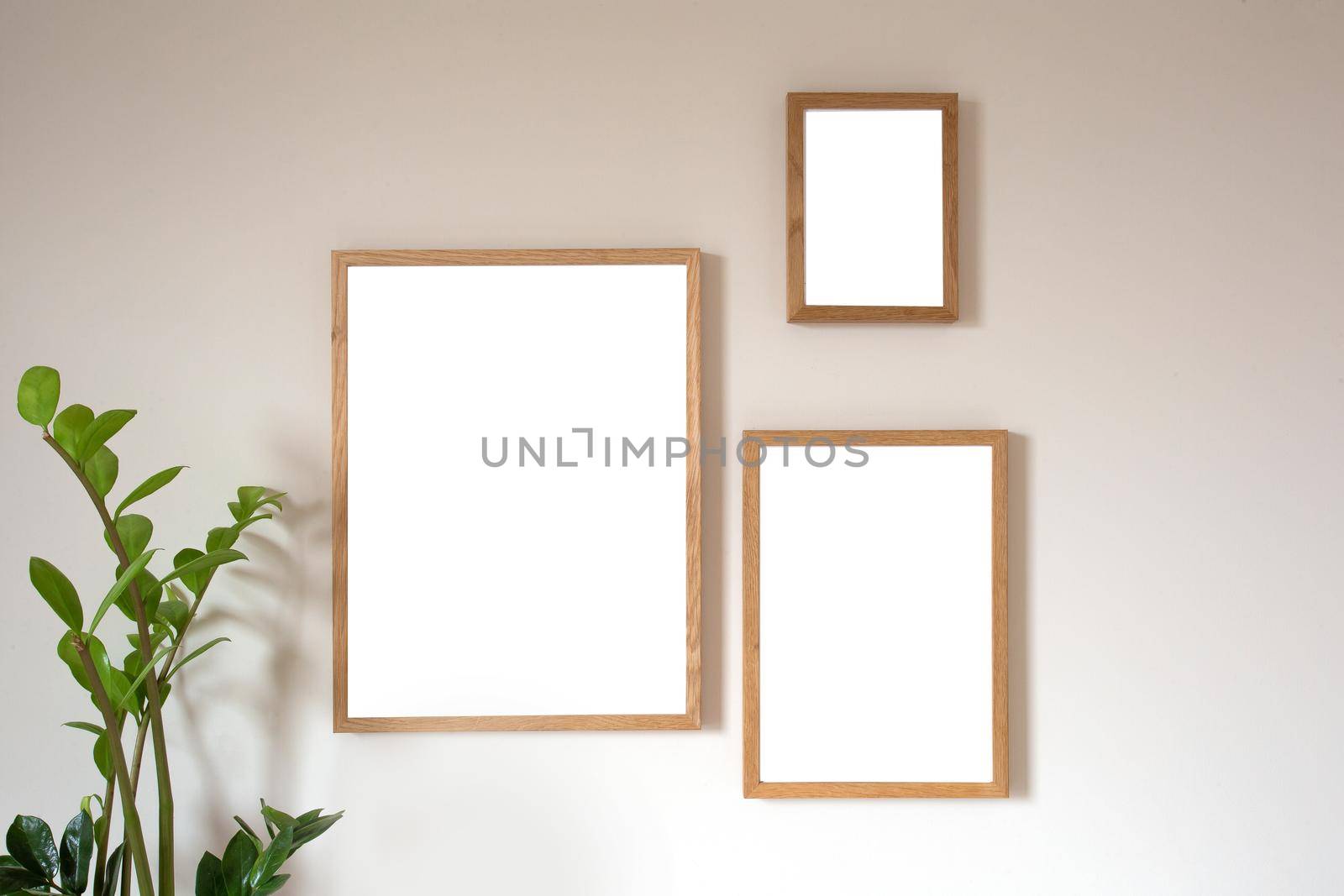 Interior design of living room with two brown mock up photo frame on modern wall, blank canvas with beautiful plant Elegant personal accessories. copy space, stylish decoration beauty