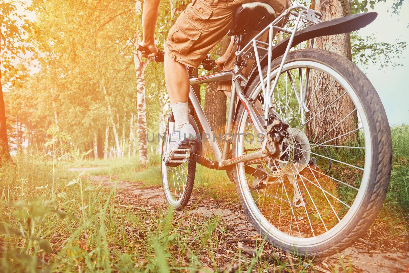 Unrecognizable man riding on bicycle in summer park at sunny day. Image with sunlight effect