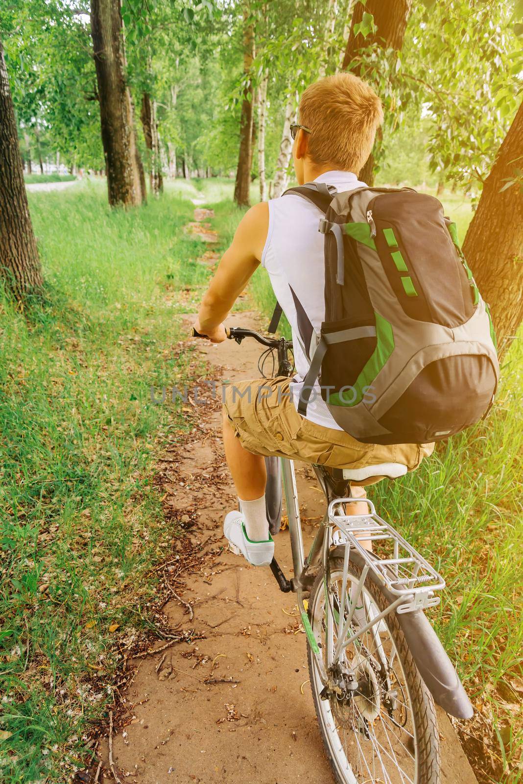 Unrecognizable cyclist man riding mountain bike on trail in summer forest, rear view. Theme of sport and hiking