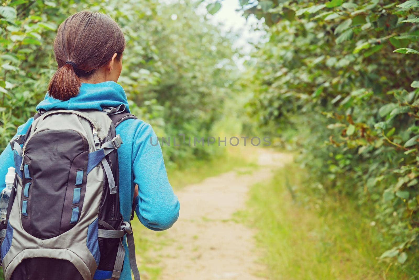 Unrecognizable hiker woman with backpack going on path in summer, rear view