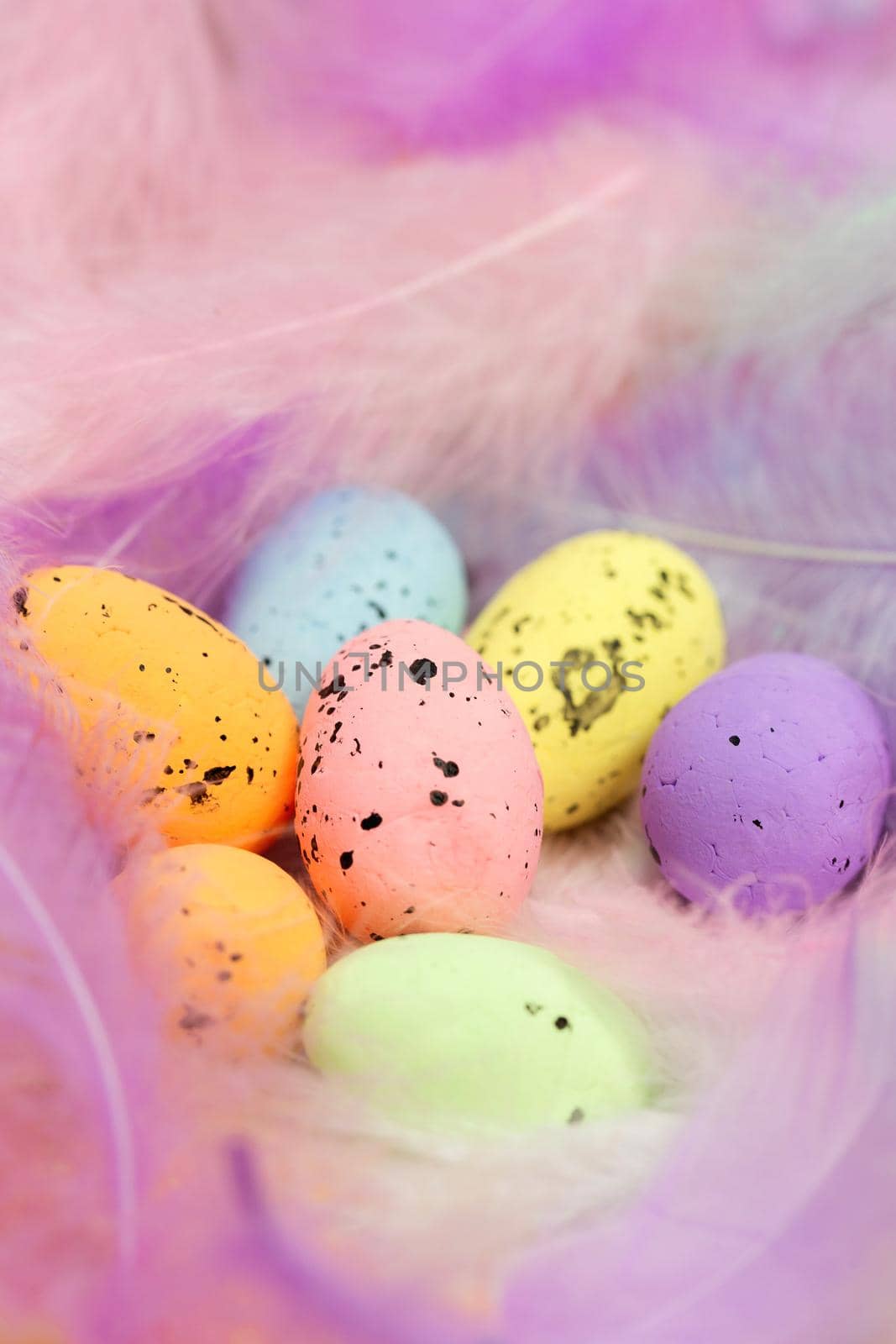 Colorful Easter Eggs with pastel colored feathers in the background,, Easter,Spring,Religion concept for Greeting card or Background design. soft bright colors close up