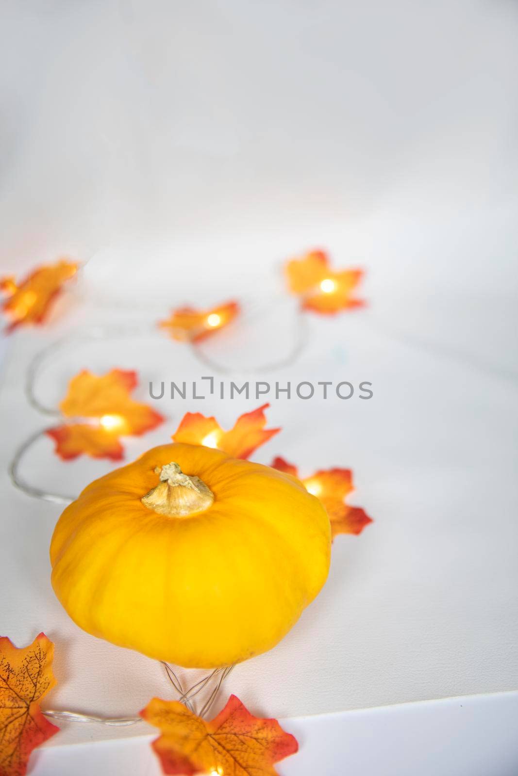 Autumn border arrangement of orange pumpkin and colorful leaves with bokeh lights a off white background, bright modern decoration, copy space by Annebel146
