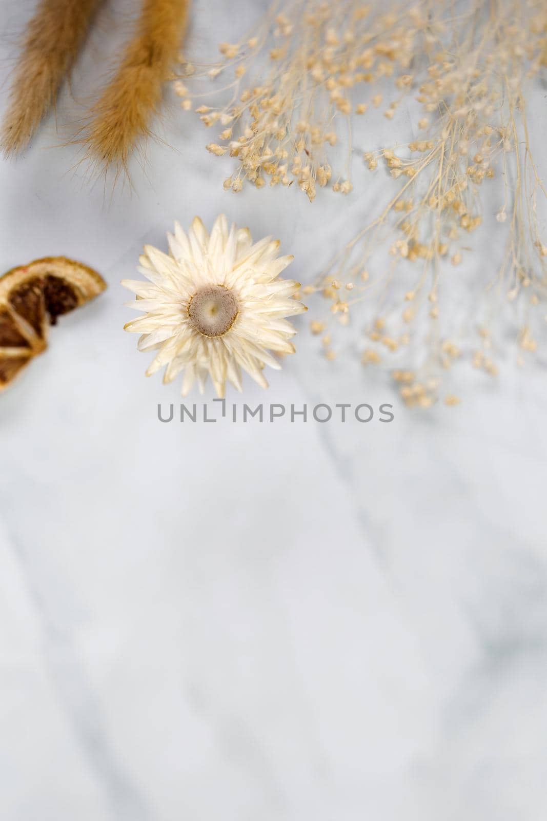 Fresh bight spring dried Flower frame isolated on white background with copy space, romantic,summer modern concept, flat lay, overhead view space for text