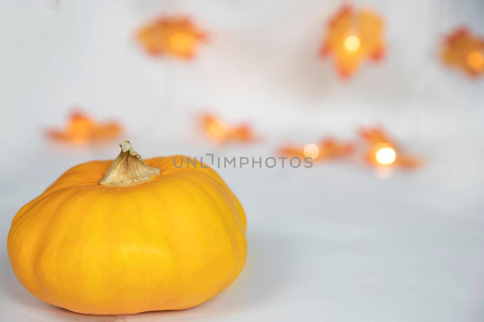Autumn border arrangement of orange pumpkin and colorful leaves with bokeh lights a off white background, bright modern decoration, copy space space for text