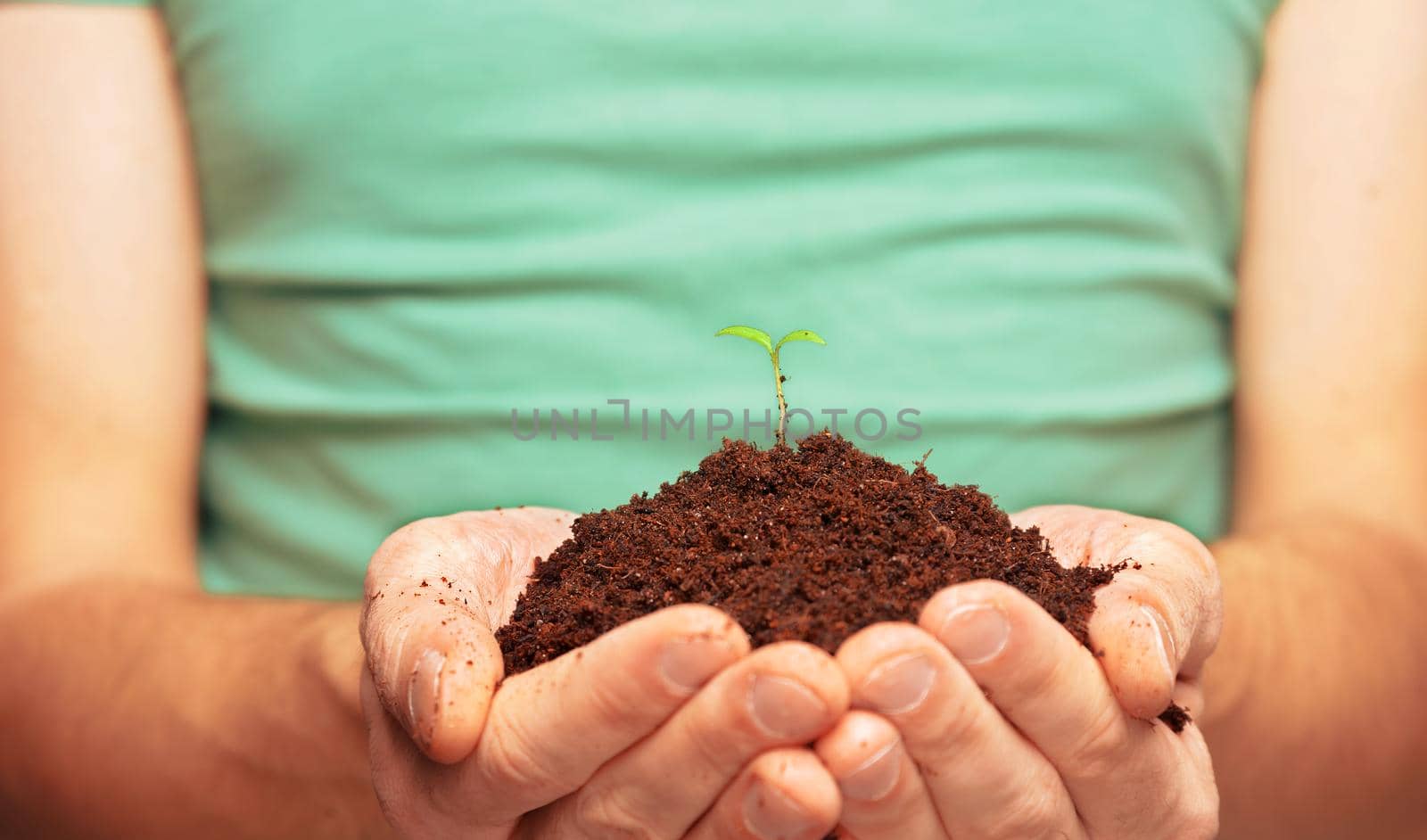 Unrecognizable man in green shirt holding a small plant. Eco concept