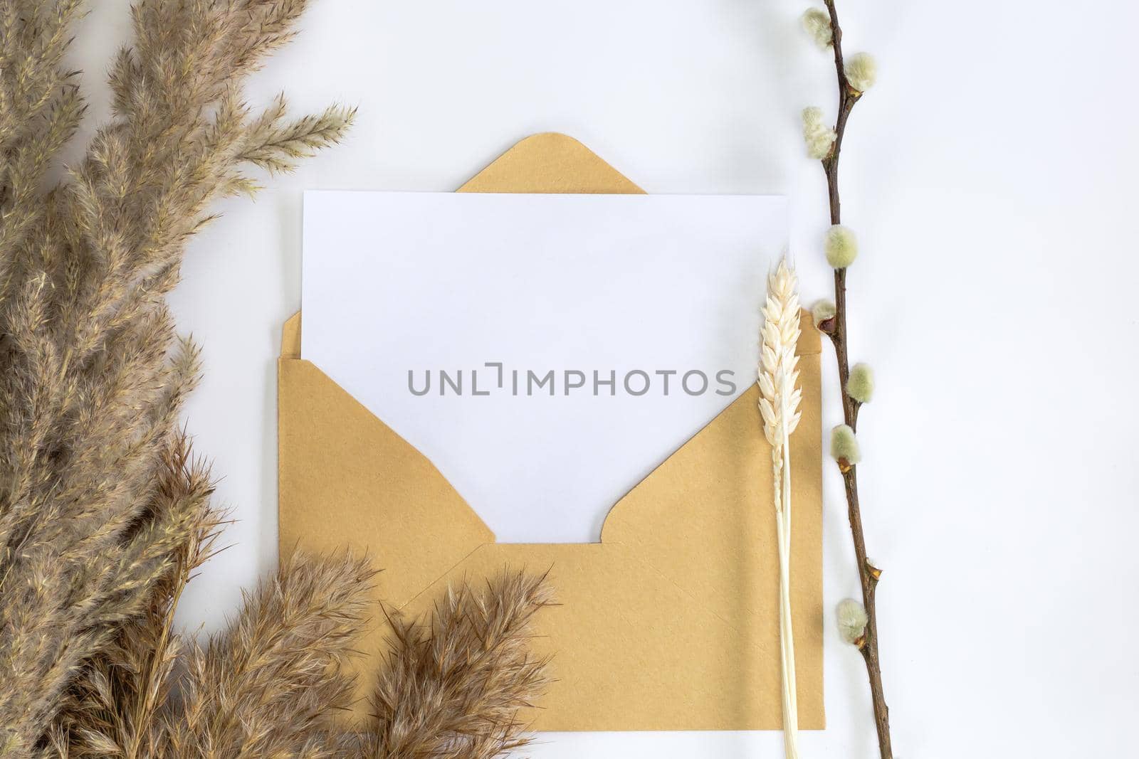 Minimalistic card mockup with reed flower, craft envelope, blossom, flat lay, top view Blank white paper card and envelope for copy space space for text