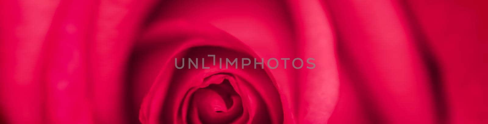 Botanical concept, wedding invitation card - Soft focus, abstract floral background, red rose flower. Macro flowers backdrop for holiday brand design