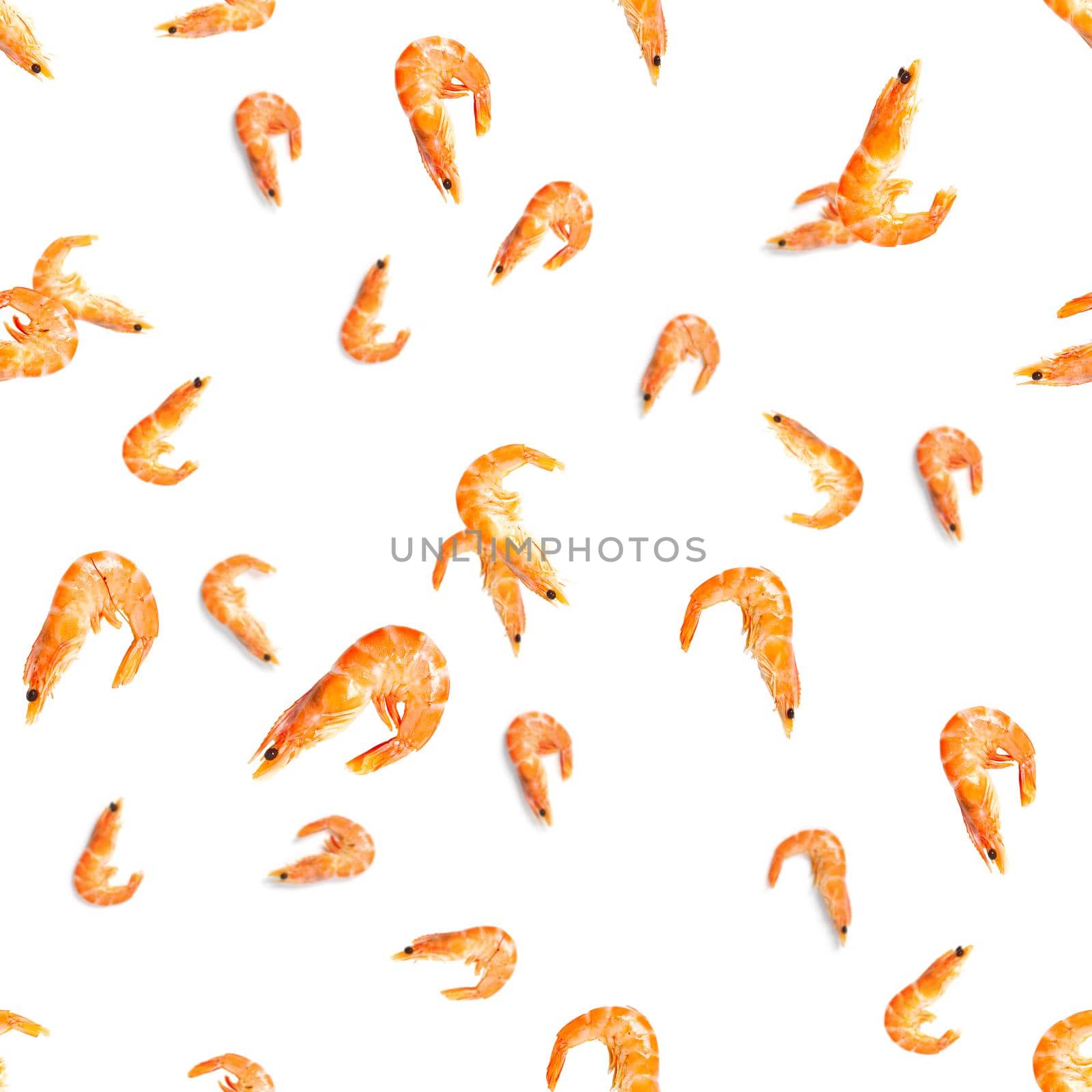 Tiger shrimp. Seamless pattern made from Prawn isolated on a white background. Seafood seamless pattern with shrimps. seafood pattern by PhotoTime