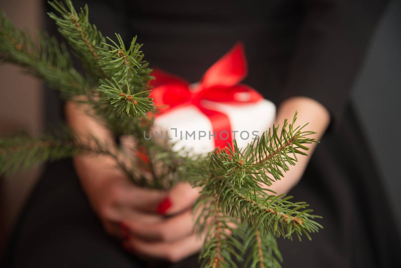 Unrecognizable woman is holding branch of Christmas tree and gift