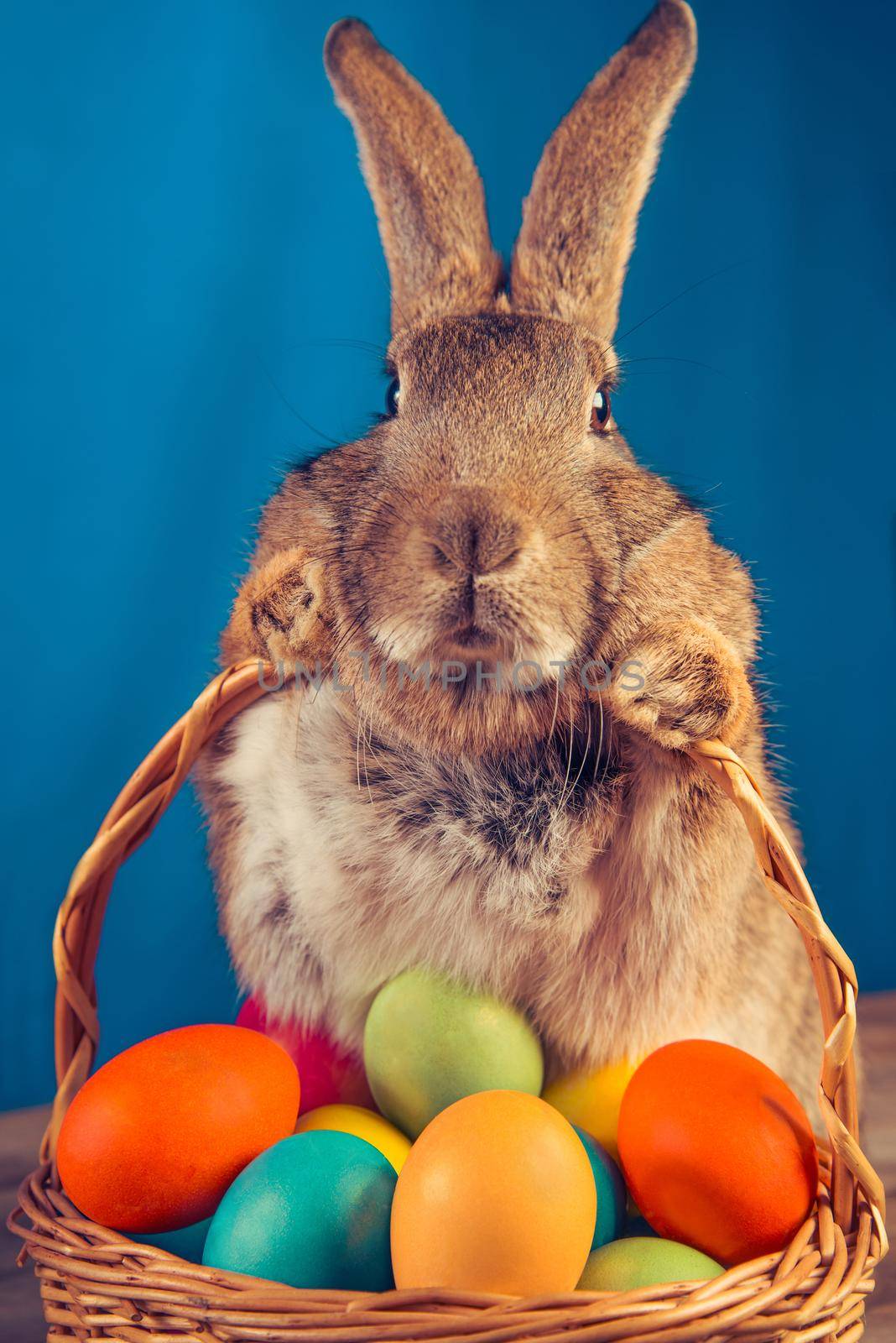 Easter rabbit with a basket of colored eggs on a blue background
