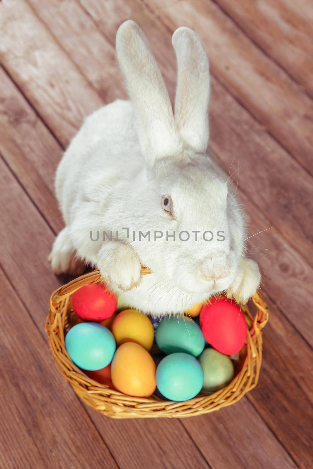 White Easter rabbit sits with basket of colored eggs on wooden table