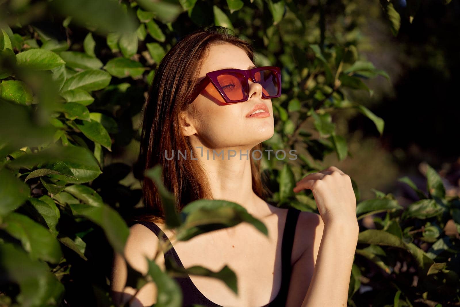 pretty woman wearing sunglasses green leaves glamor posing summer. High quality photo