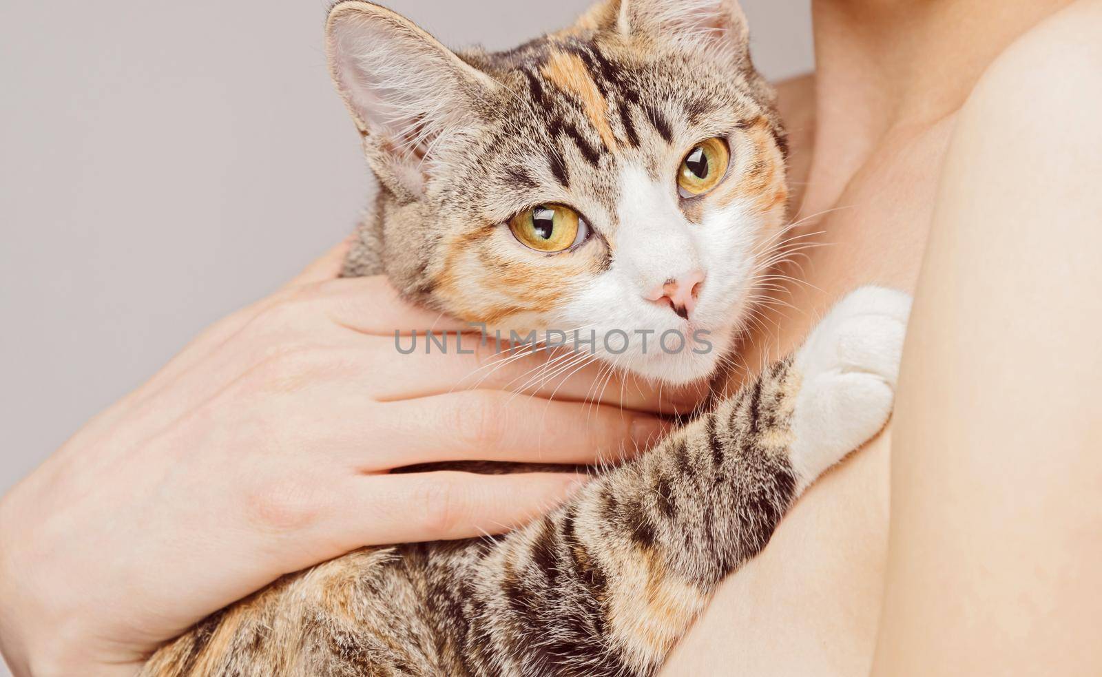 Unrecognizable woman holds orange tabby cat