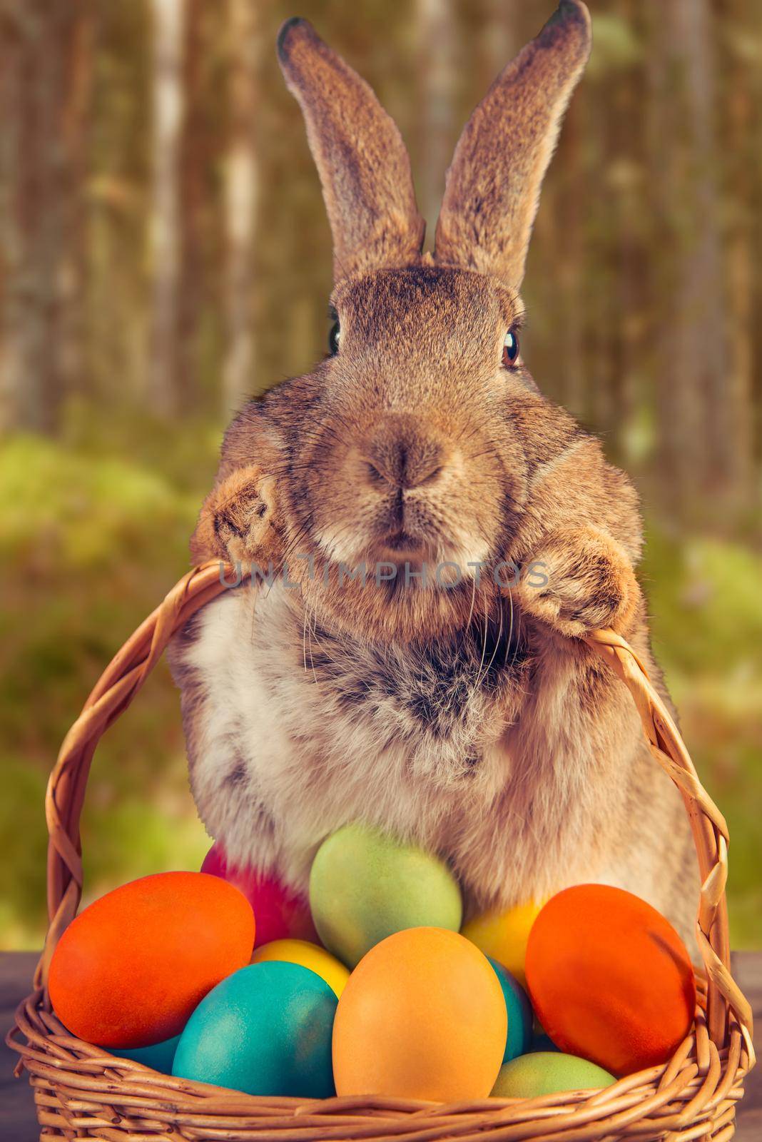 Brown Easter rabbit holds basket with colored eggs on a wooden table outdoor