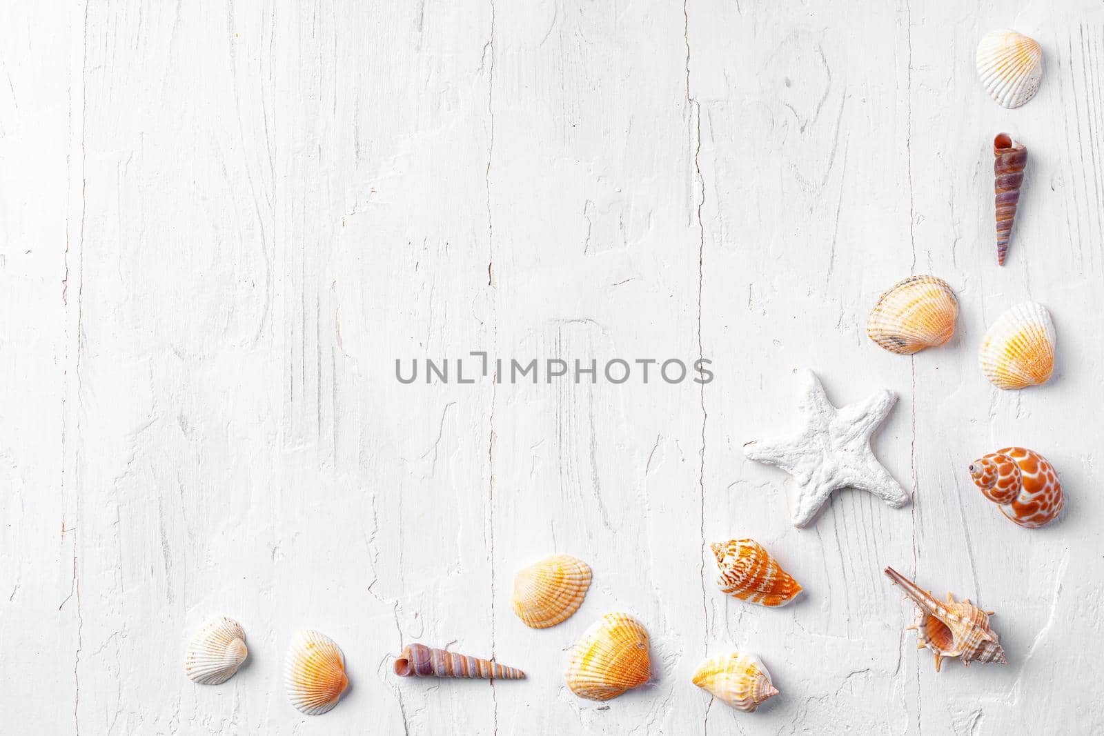 White rough wooden background with sea shells, copy space