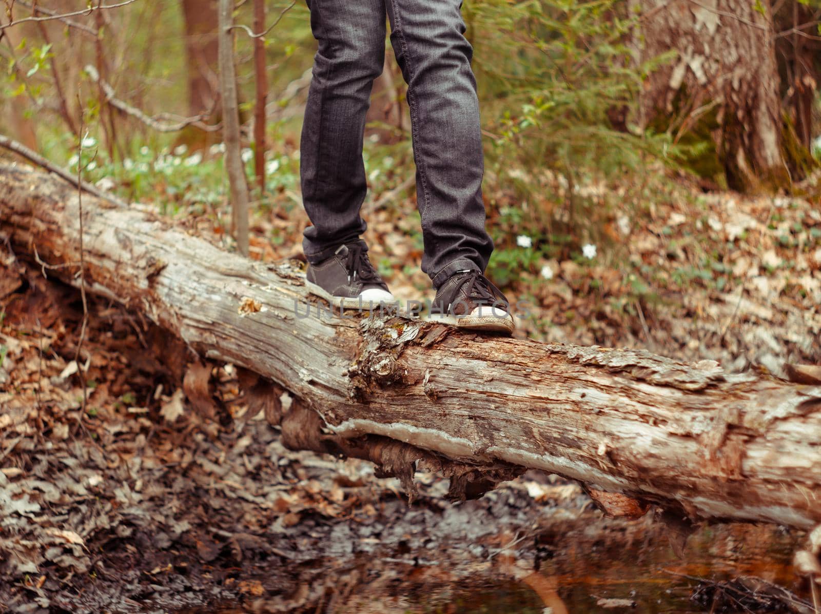 The girl crossing the river on balk