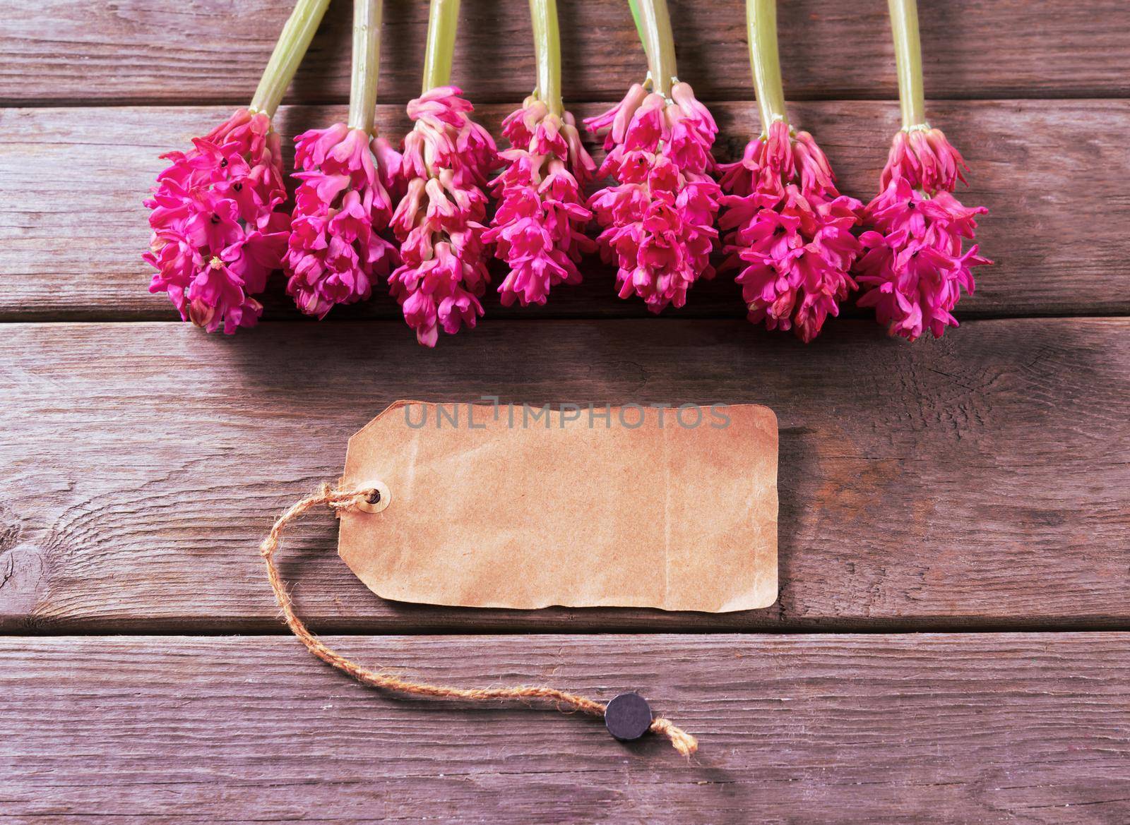 Flowers red hyacinths and empty card on a wooden table, space for text