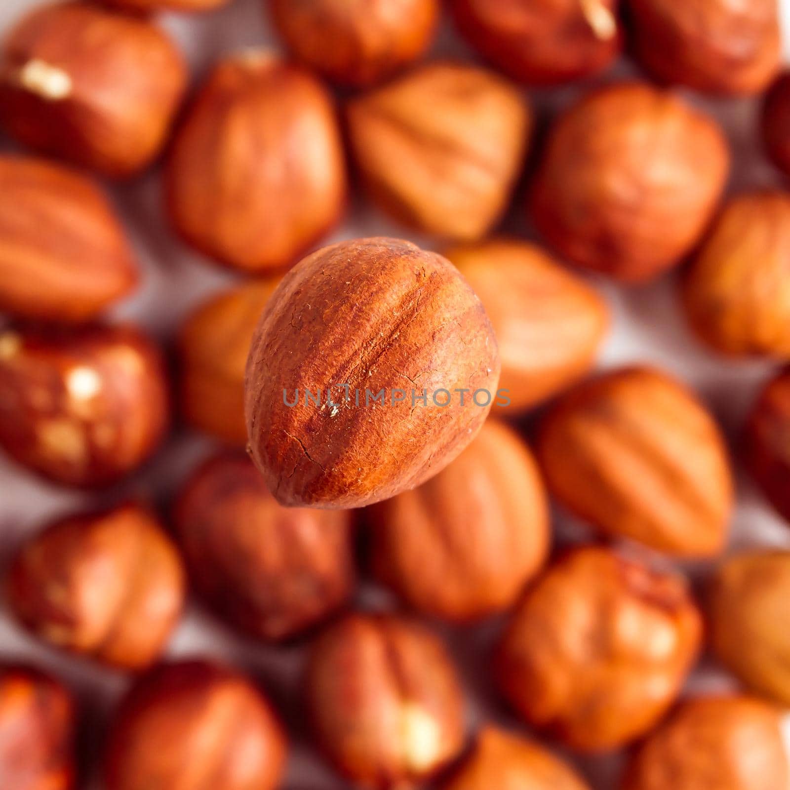 One filbert close-up on a background of nuts