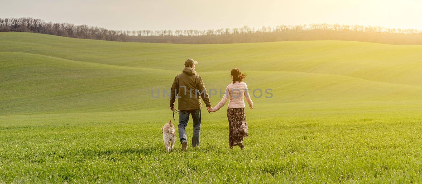 Back view of couple walking cute dog on spring field