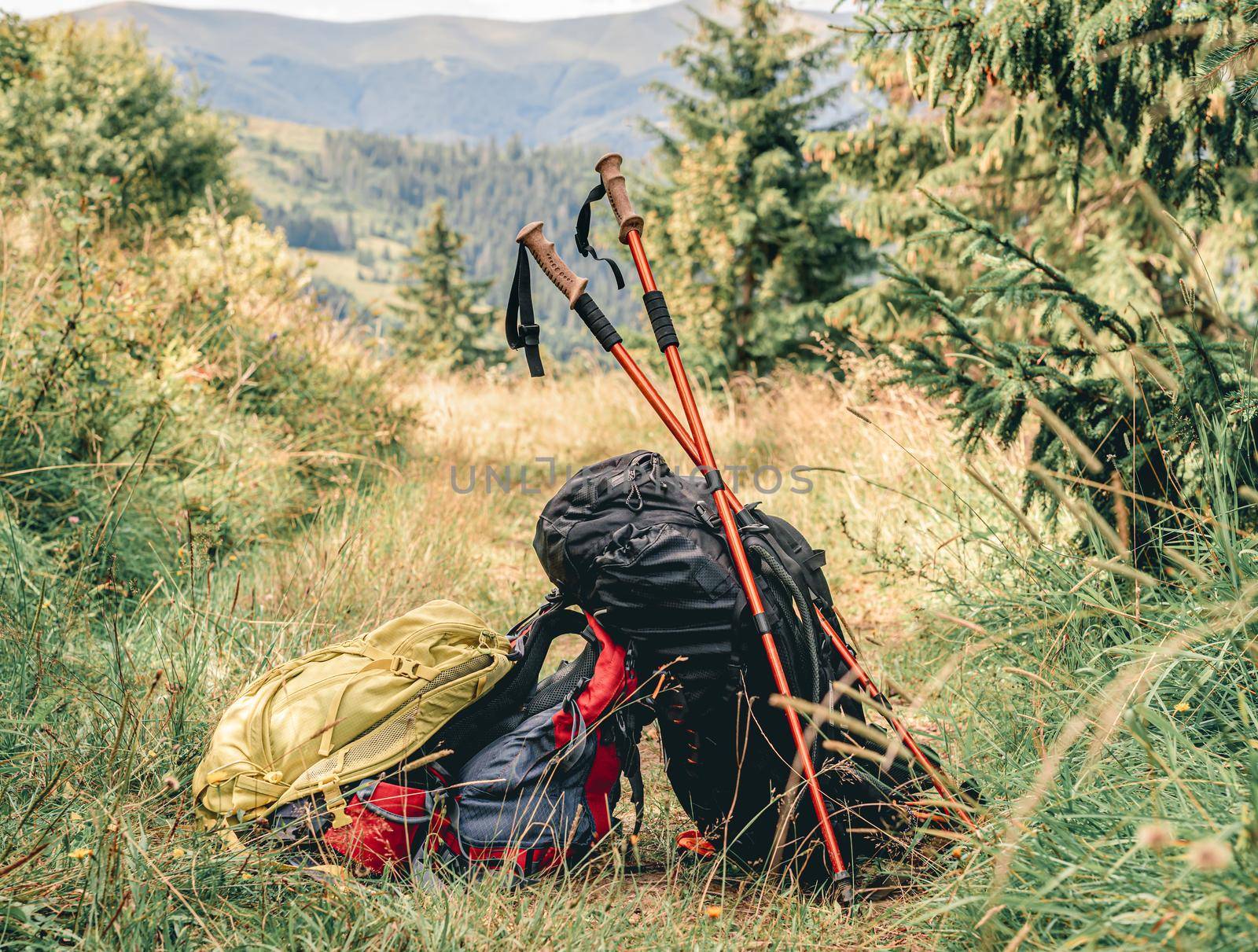 Trekking sticks and backpacks lying on mountain trail