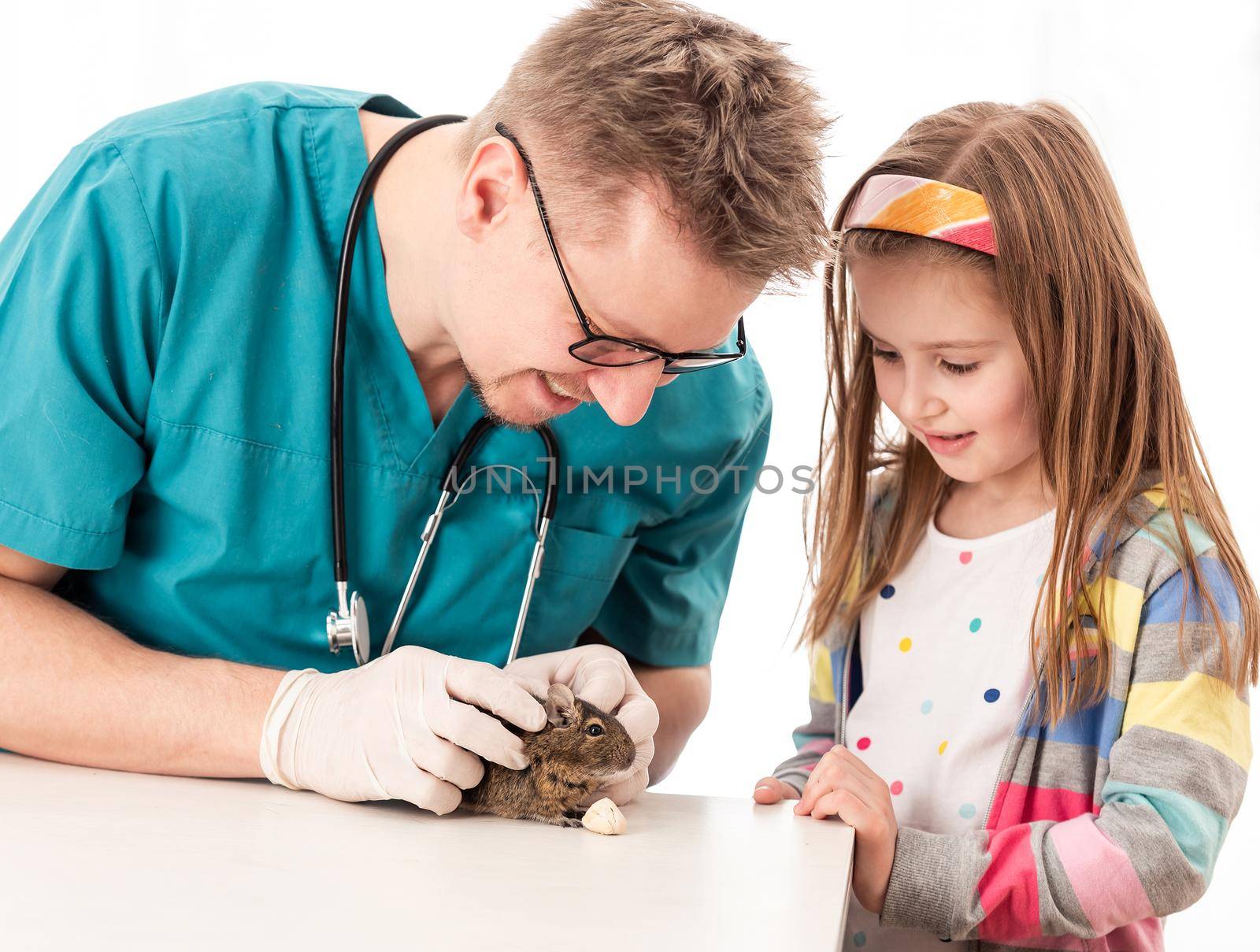 Little pretty girl took her degu to the vet to check his condition, isolated on white background