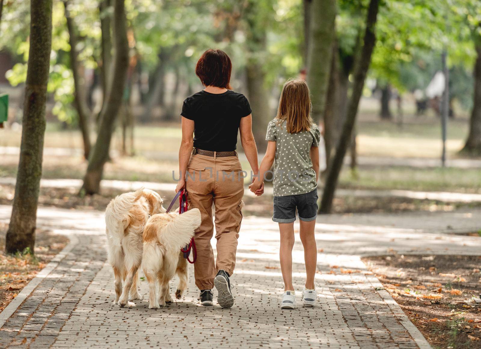 Mother and daughter with golden retriever dogs walking in the park. Family with pets doggies outdoors portrait from back