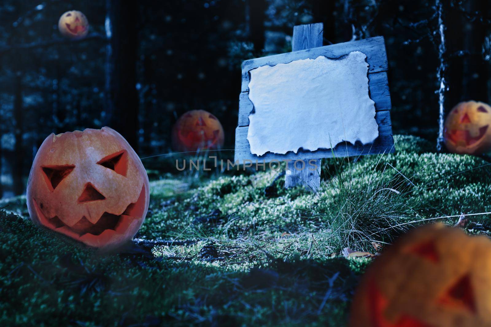 Lots of scary pumpkins at night in forest