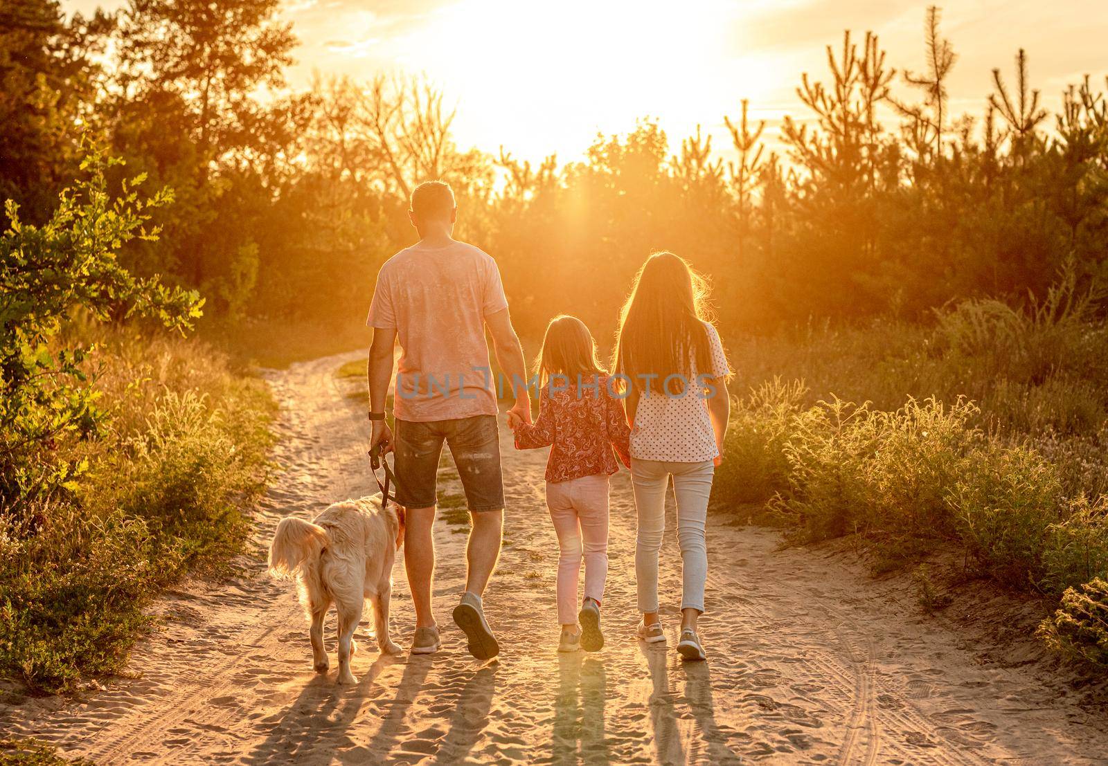 Rear view of daughters with father and dog walking holding hands in nature at sunset