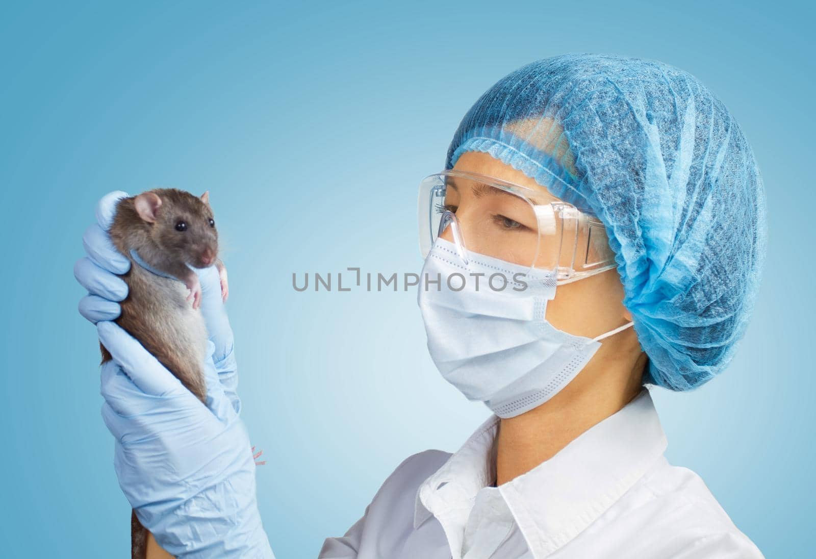 Young woman veterinarian or laboratory assistant holds a rat