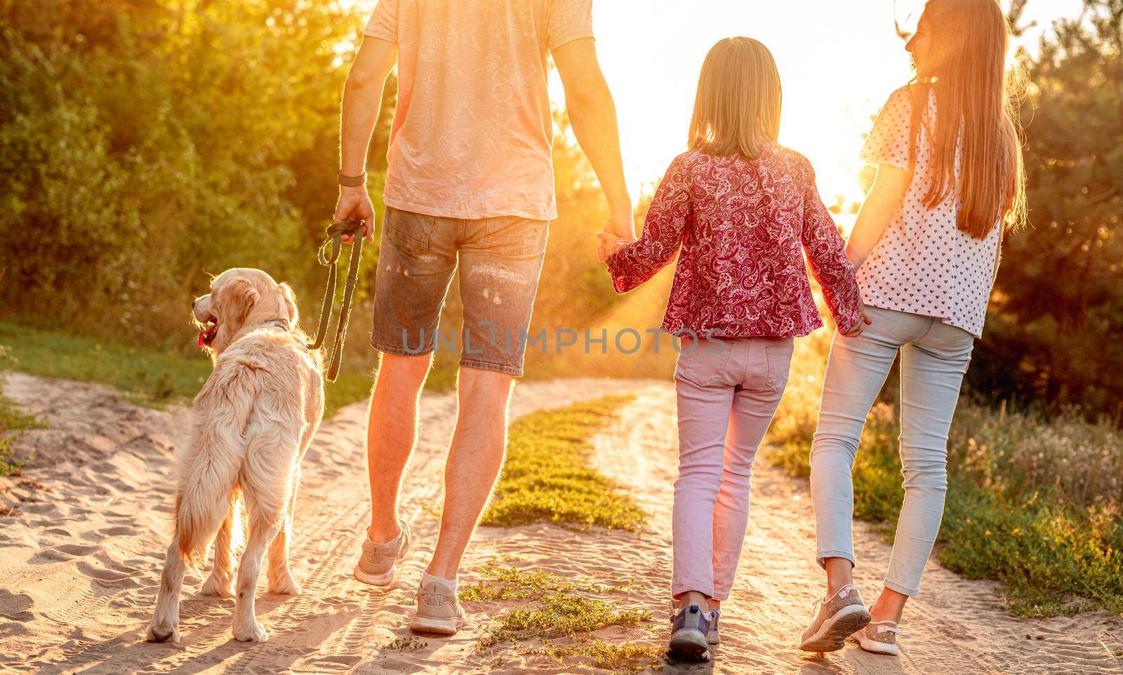 Rear view of daughters with father and dog walking holding hands in nature at sunset
