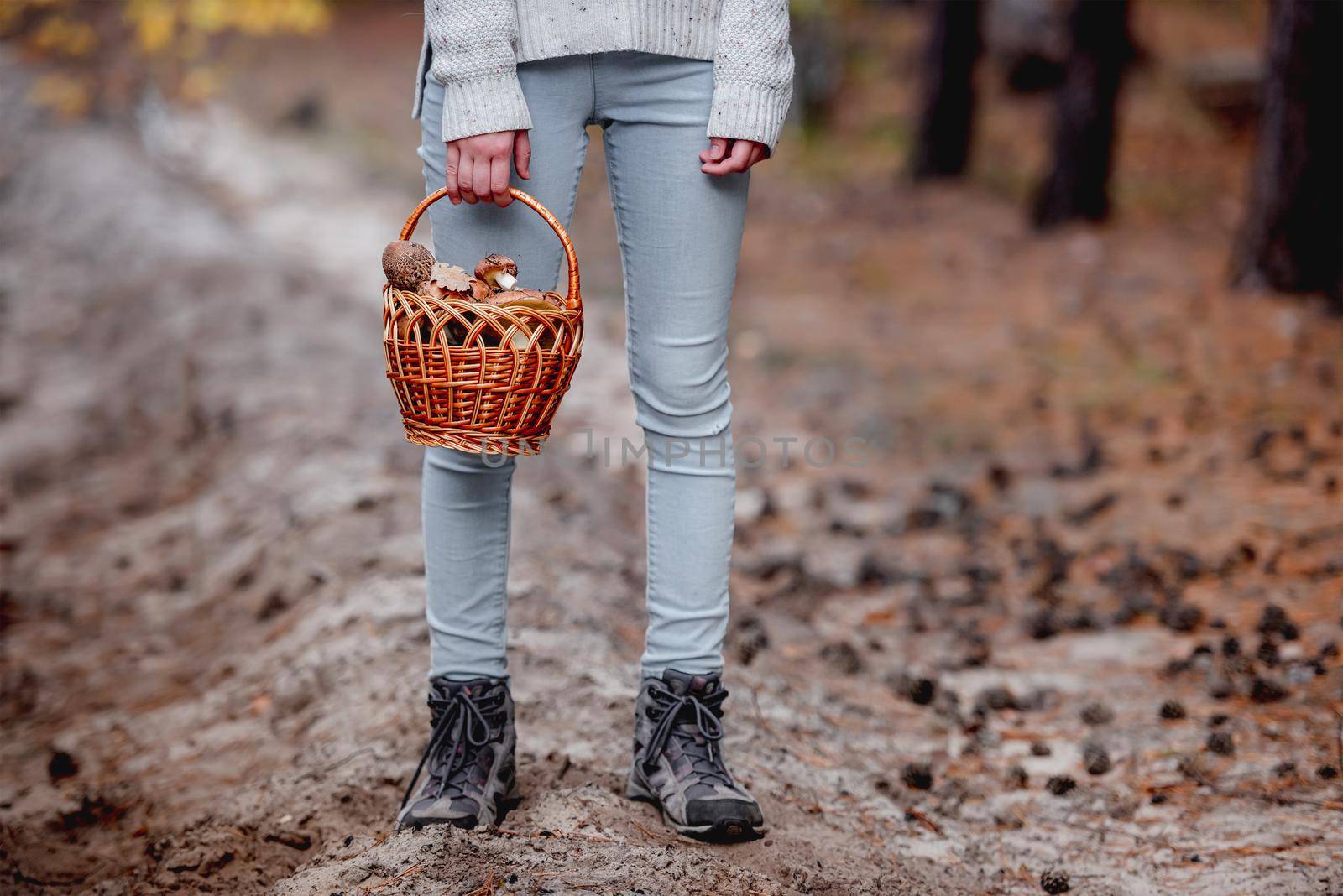Young girl legs and hands holding wicker basket with edible mushrooms standing in autumn forest