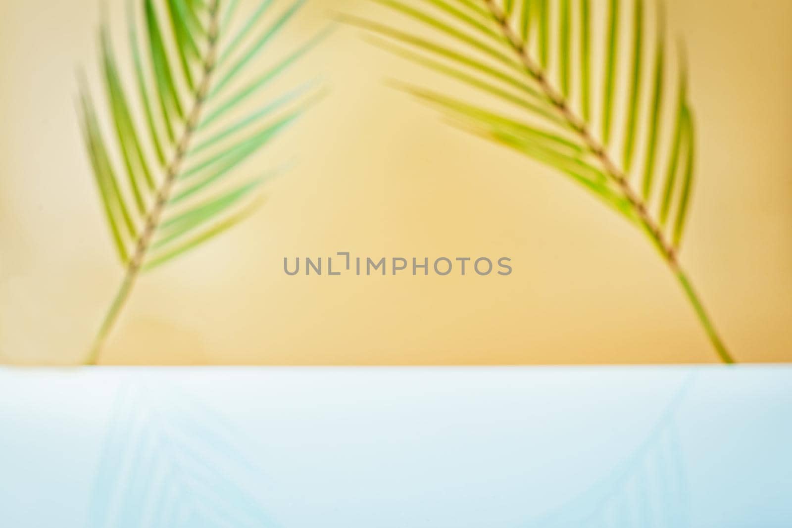 Design banner ads on summer season display concept , abstract blur tropical coconut leaves with white concrete table background for show .