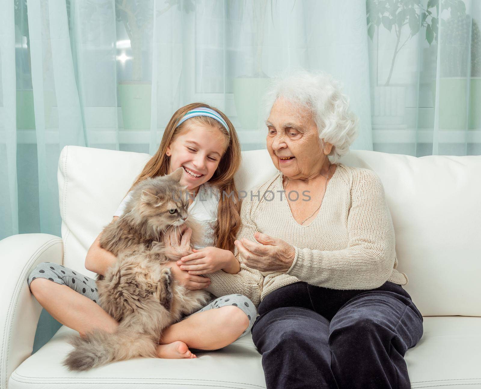 little girl withg randmother playing with cat on sofa
