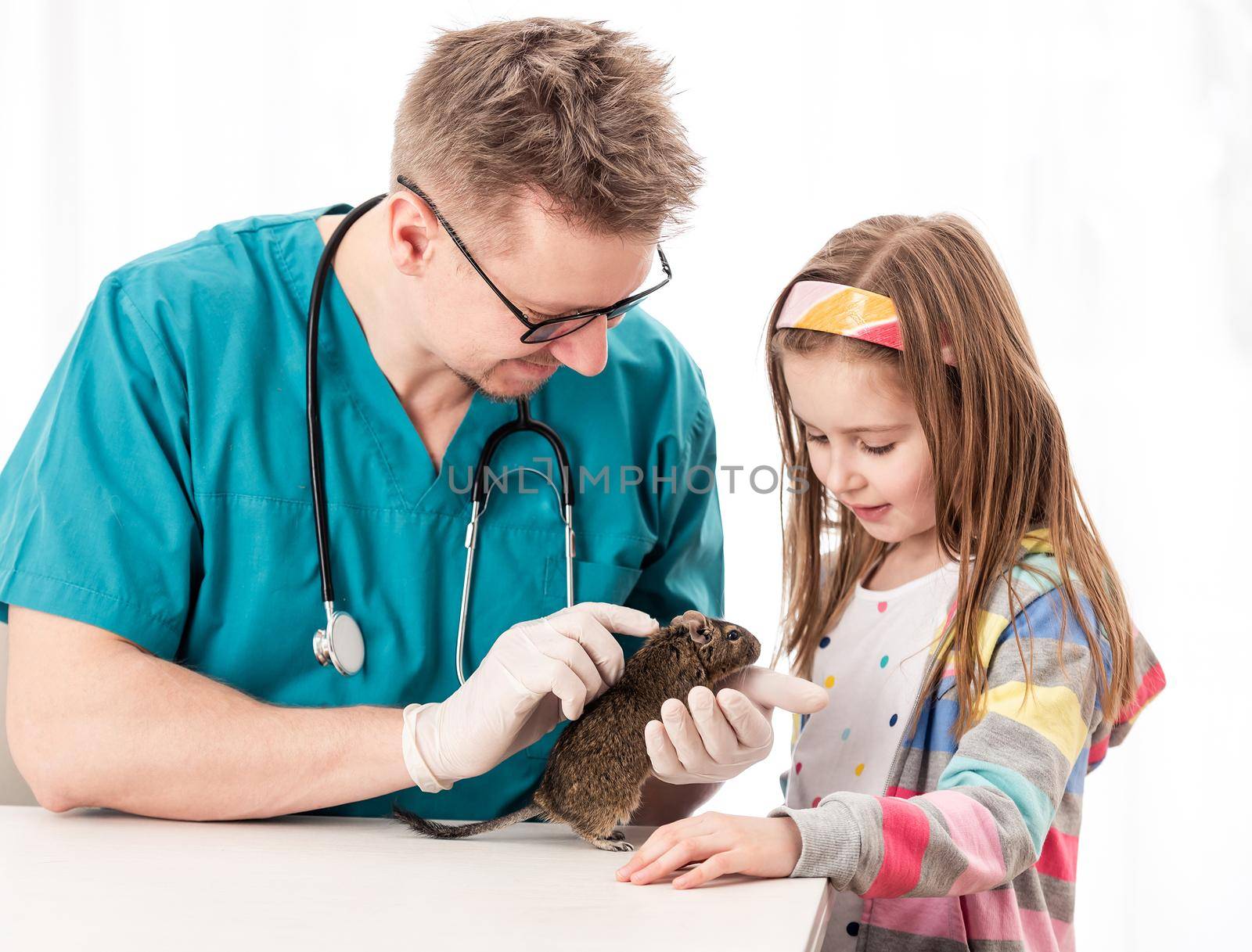Little pretty girl took her degu to the vet to check his condition, isolated on white background