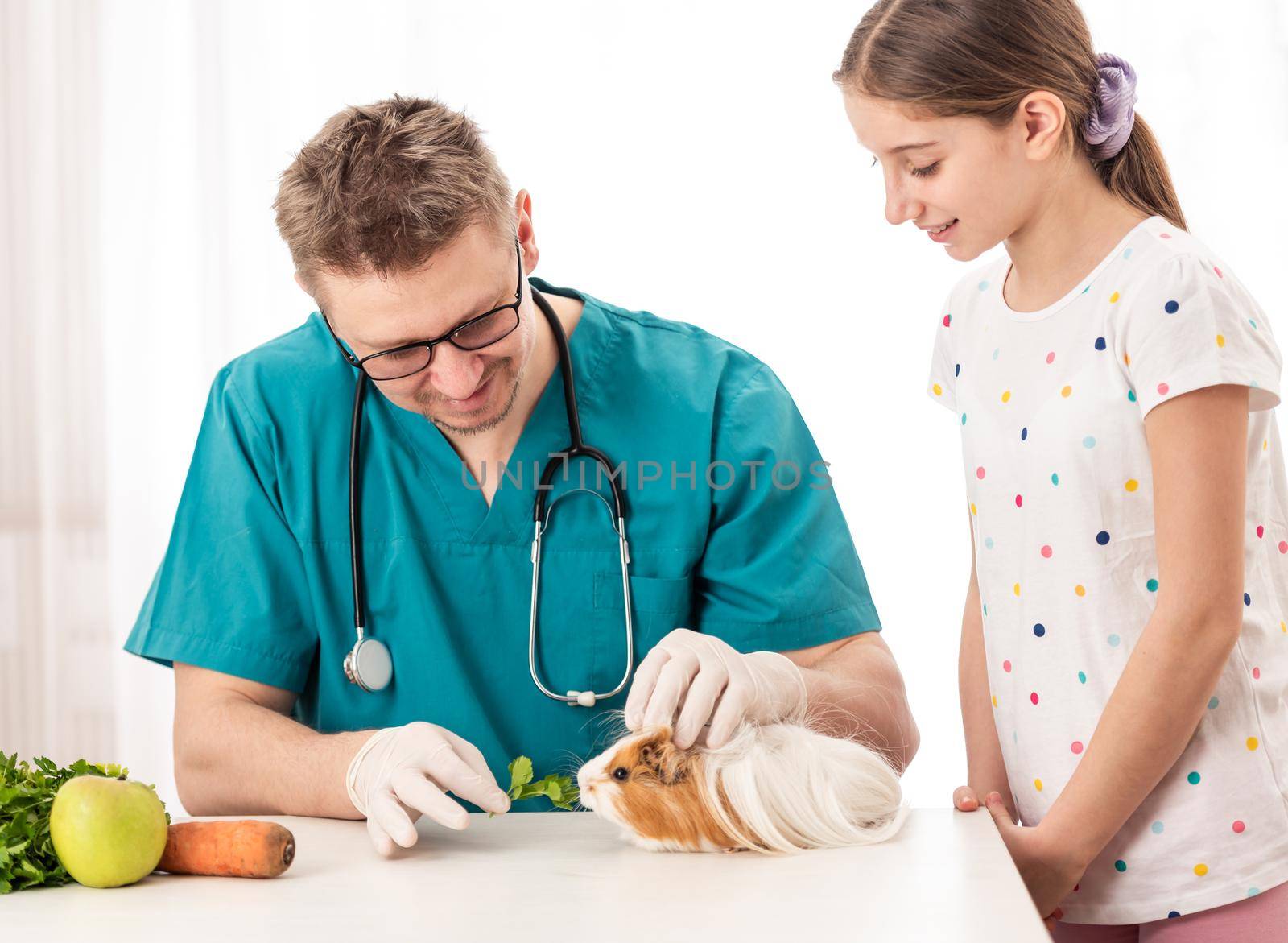 Smart veterinary showing the diet of peruwian guinea pig to teen girl, isolated on white background