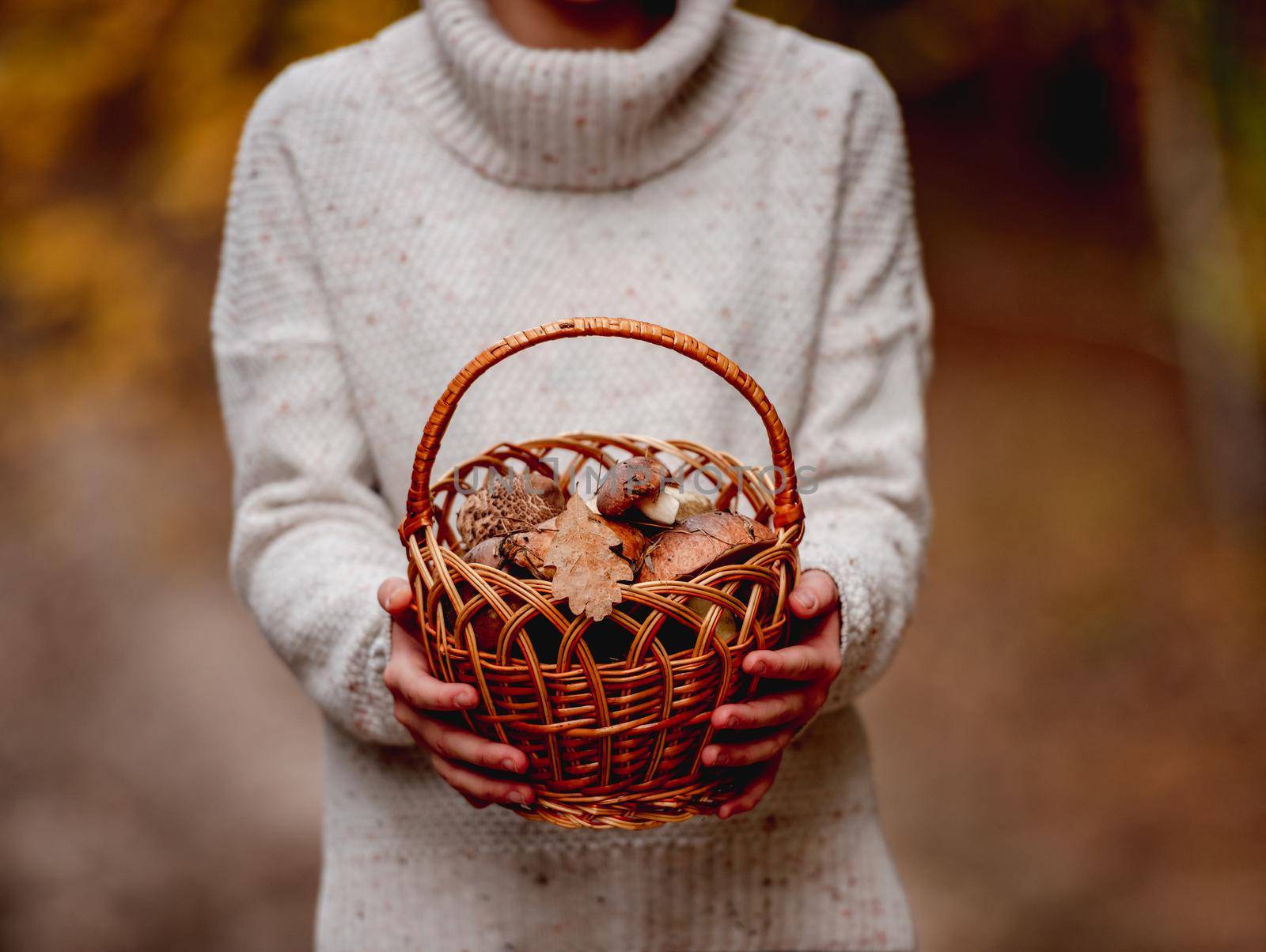 Basket full of mushrooms in girl's hands by tan4ikk1