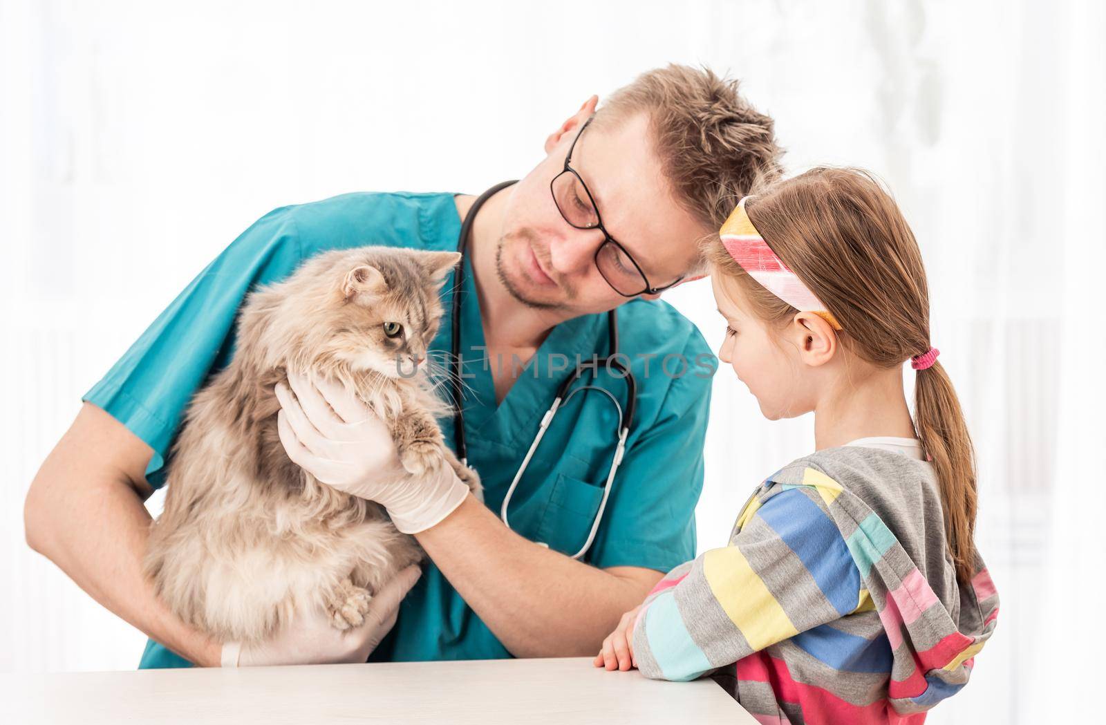 Veterinarian doctor checking fluffy cat for fur diseases in front of girl, isolated on white background