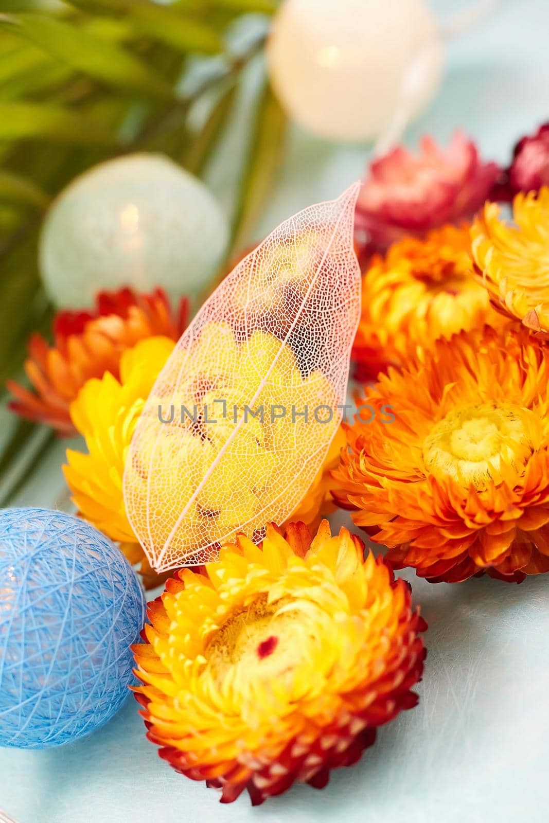 Nature concept. Floral Greeting card. Colorful spring flower background, Nature Trendy Decorative Design.