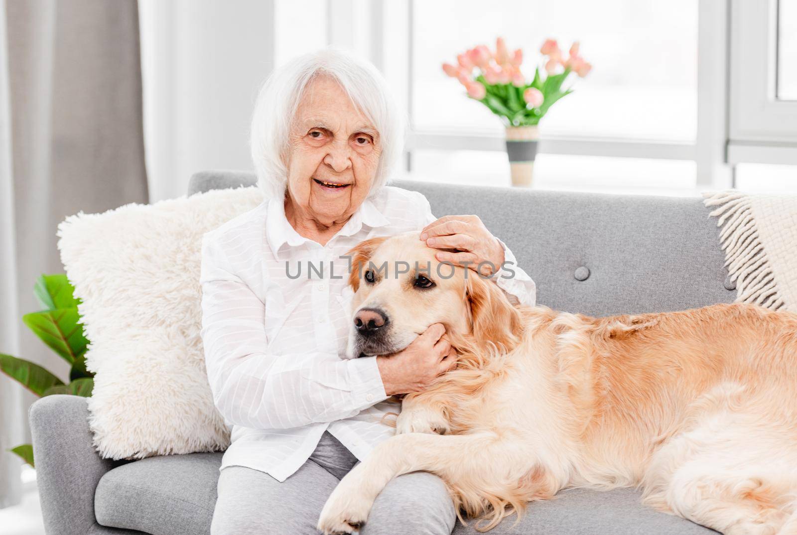 Eldery woman hugging golden retriever dog and looking at the camera in sunny day at home