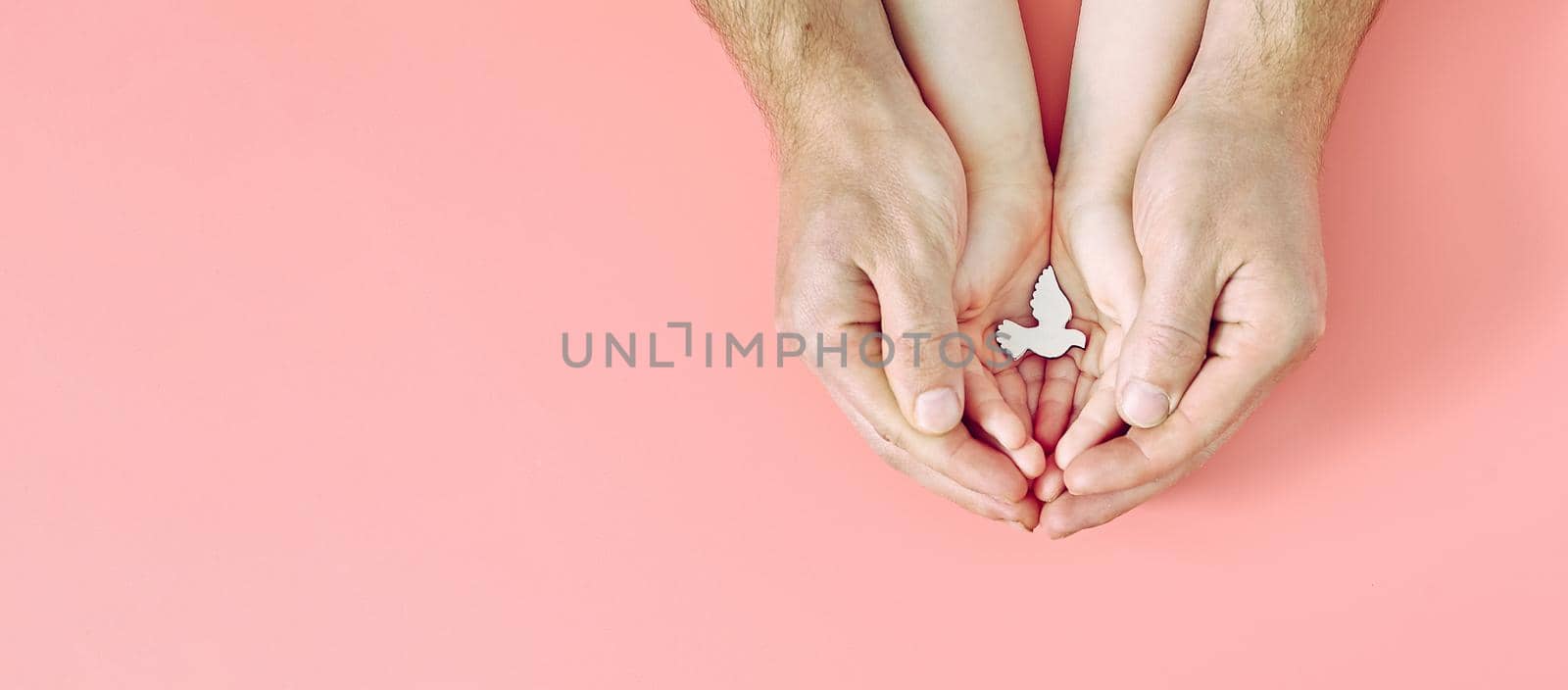 Adult and child hands holding white dove bird on pink background, international day of peace or world peace day concept, sustainable consumption, csr responsible business concept