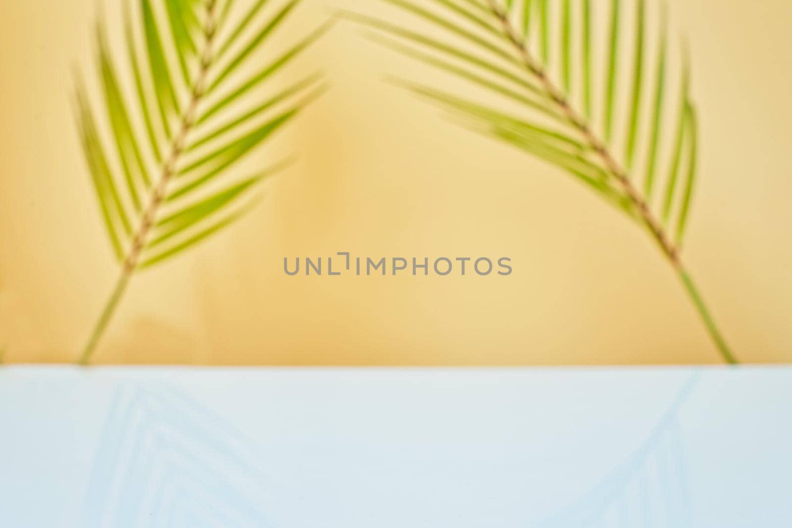 Design banner ads on summer season display concept , abstract blur tropical coconut leaves with white concrete table background for show . by Maximusnd