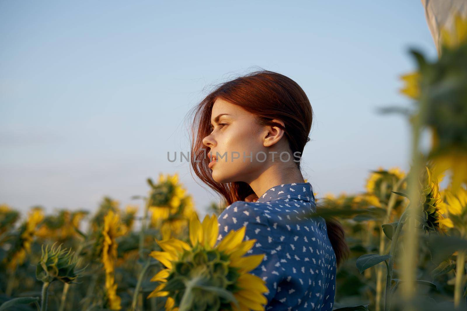 pretty woman with hat in the field of sunflowers freedom nature. High quality photo