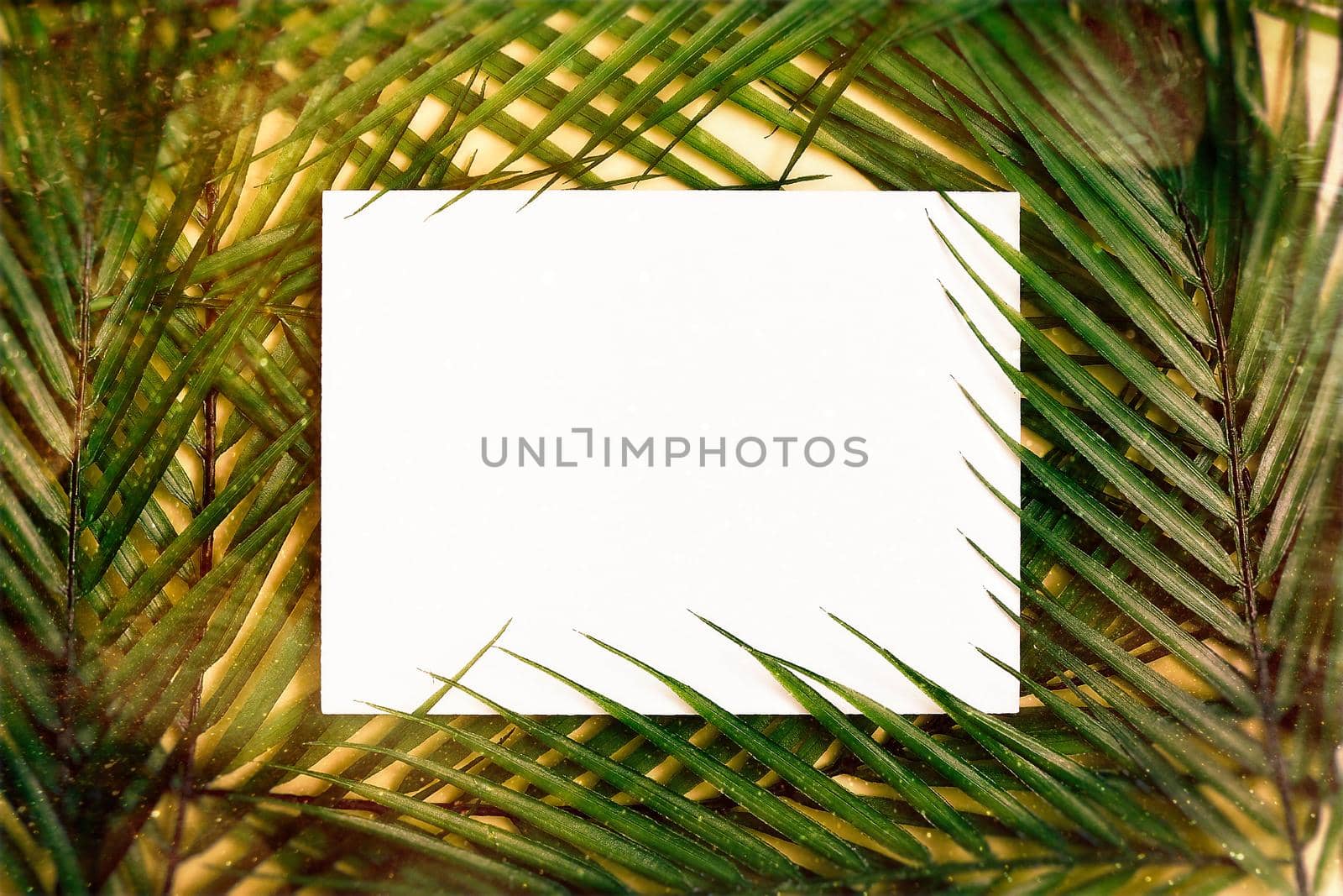 Flat lay. Minimal summer concept with palm tree leaf. Creative copyspace with paper frame. Creative layout made of colorful tropical leaves on white background. by Maximusnd