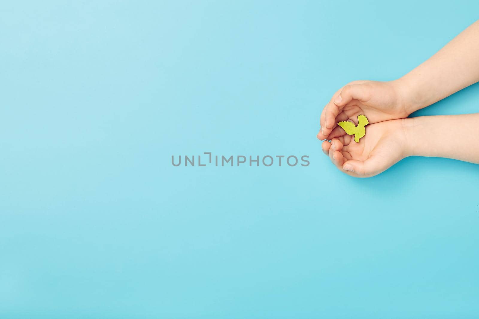 Сhild hands holding green dove bird on blue background, international day of peace or world peace day concept.