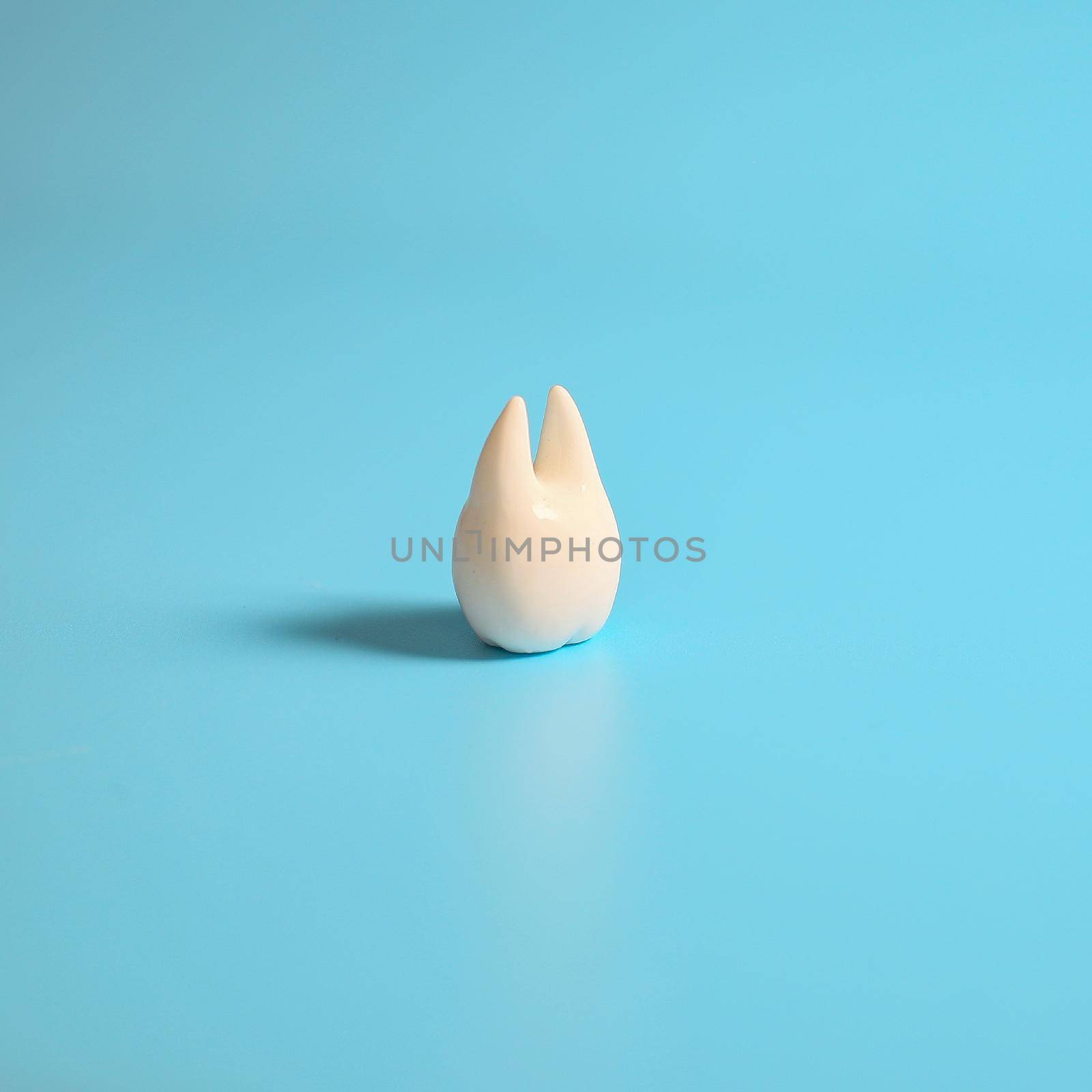 Tooth , Orthodontic dental theme on blue  surface .