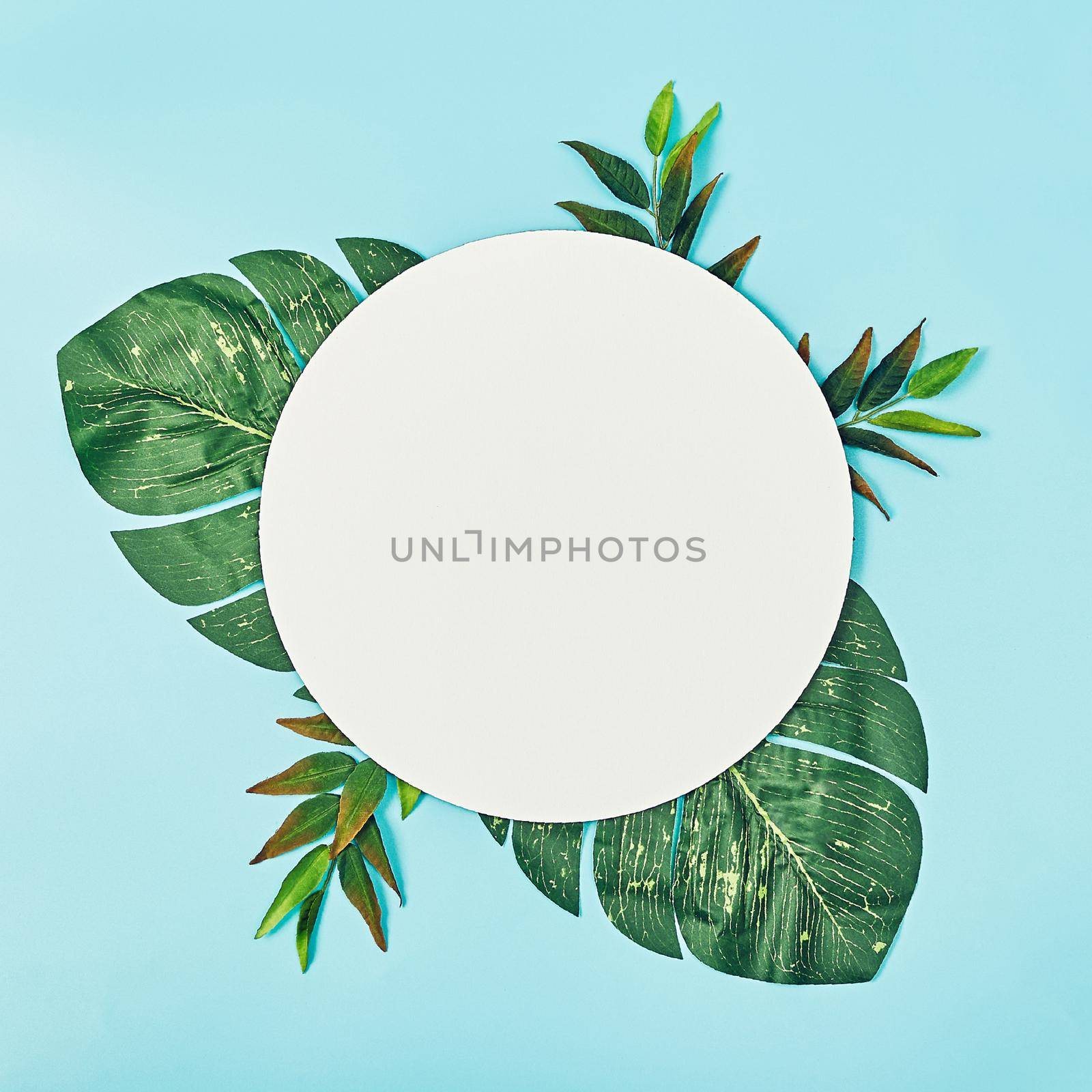 Composition of summer flowers. Round blank paper, green palms on a pastel blue background. Flat lay, top view, copy space, square by Maximusnd
