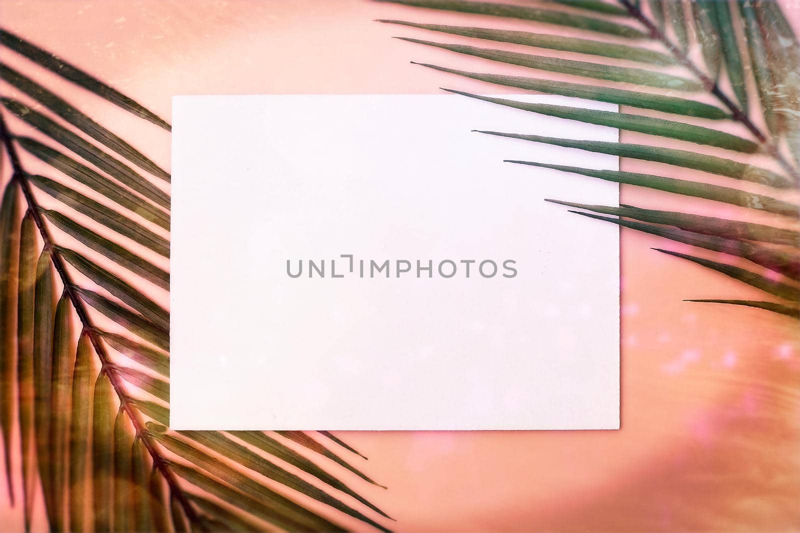 Flat lay. Minimal summer concept with palm tree leaf. Creative copyspace with paper frame. Creative layout made of colorful tropical leaves on white background. by Maximusnd